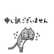 ヒメ日記 2026/03/18 09:16 投稿 小鞠 ゆず 30代40代50代と遊ぶなら博多人妻専科24時