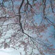 小鞠 ゆず おはようございますෆ 30代40代50代と遊ぶなら博多人妻専科24時