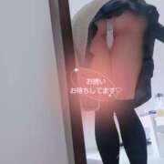 ヒメ日記 2025/01/15 10:21 投稿 高橋 メガフォース