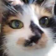 ヒメ日記 2025/03/15 10:47 投稿 高橋 メガフォース