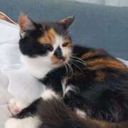 ヒメ日記 2025/06/18 11:28 投稿 高橋 メガフォース