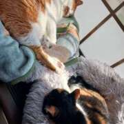 ヒメ日記 2025/06/23 18:10 投稿 高橋 メガフォース