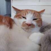 ヒメ日記 2026/01/16 11:00 投稿 高橋 メガフォース