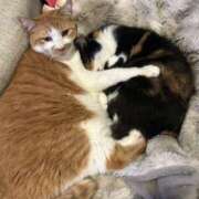 ヒメ日記 2026/02/17 08:07 投稿 高橋 メガフォース