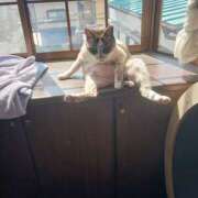 ヒメ日記 2026/04/17 10:42 投稿 高橋 メガフォース