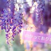 ヒメ日記 2025/01/23 00:44 投稿 千絵利(ちえり） グランドオペラ横浜