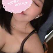 ヒメ日記 2025/09/24 14:30 投稿 みれい ぽっちゃりきぶん