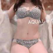 ヒメ日記 2026/02/24 15:18 投稿 しゅり ソープランド AQUA（アクア）