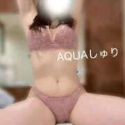 ヒメ日記 2026/04/04 08:18 投稿 しゅり ソープランド AQUA（アクア）