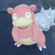 ヒメ日記 2025/11/22 14:35 投稿 めぐみ ぷよラブ