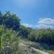 ヒメ日記 2025/01/09 22:22 投稿 みるくちゃん もう！本物じゃなきゃ満足出来ない～アンアン吠える女子大生～