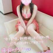 ヒメ日記 2025/08/03 16:06 投稿 みな 吉祥寺角海老