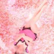 ヒメ日記 2026/03/19 20:16 投稿 優香 吉祥寺角海老