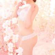 ヒメ日記 2026/04/11 20:26 投稿 優香 吉祥寺角海老