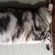 ヒメ日記 2025/08/28 06:06 投稿 みなみ 吉祥寺角海老