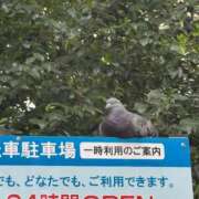 じゅん ハトの日 吉祥寺角海老