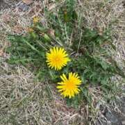 じゅん 今日は寒かったですね 吉祥寺角海老