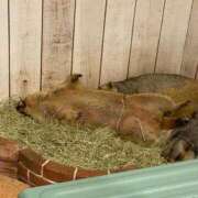 ヒメ日記 2025/10/10 13:54 投稿 みか 吉祥寺角海老