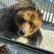 みか 北海道から帰ってきて今日から出勤✨️ 吉祥寺角海老