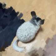 ヒメ日記 2025/10/13 12:46 投稿 みれい 吉祥寺角海老