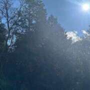 ヒメ日記 2026/01/05 14:31 投稿 みれい 吉祥寺角海老