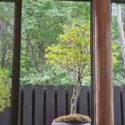 ヒメ日記 2025/09/12 21:06 投稿 みどり 吉祥寺角海老