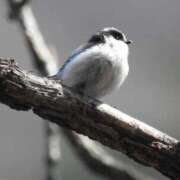 ヒメ日記 2025/09/21 09:23 投稿 みどり 吉祥寺角海老