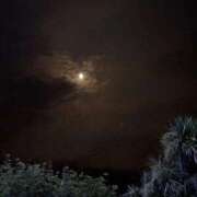 ヒメ日記 2025/08/03 23:47 投稿 れいか 吉祥寺角海老