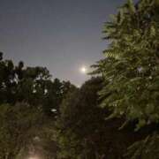 ヒメ日記 2025/08/05 22:06 投稿 れいか 吉祥寺角海老