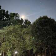 ヒメ日記 2025/08/06 22:46 投稿 れいか 吉祥寺角海老