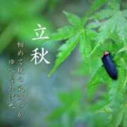 ヒメ日記 2025/08/07 14:16 投稿 れいか 吉祥寺角海老