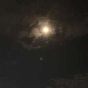 ヒメ日記 2025/08/11 23:46 投稿 れいか 吉祥寺角海老