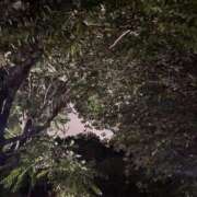 ヒメ日記 2025/08/13 23:26 投稿 れいか 吉祥寺角海老