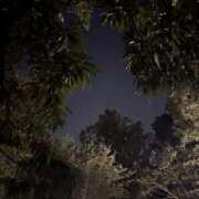 ヒメ日記 2025/08/20 23:56 投稿 れいか 吉祥寺角海老