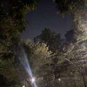 ヒメ日記 2025/08/23 23:16 投稿 れいか 吉祥寺角海老