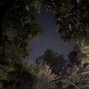 ヒメ日記 2025/08/25 00:06 投稿 れいか 吉祥寺角海老