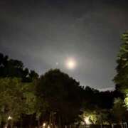 ヒメ日記 2025/09/03 23:06 投稿 れいか 吉祥寺角海老