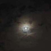 ヒメ日記 2025/09/07 00:04 投稿 れいか 吉祥寺角海老