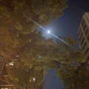 ヒメ日記 2025/09/08 00:16 投稿 れいか 吉祥寺角海老