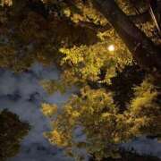 ヒメ日記 2025/09/13 23:26 投稿 れいか 吉祥寺角海老