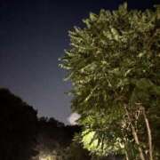 ヒメ日記 2025/09/16 23:06 投稿 れいか 吉祥寺角海老