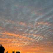 ヒメ日記 2025/09/23 06:16 投稿 れいか 吉祥寺角海老