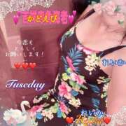 ヒメ日記 2025/09/23 08:56 投稿 れいか 吉祥寺角海老