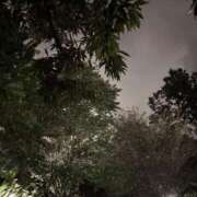 ヒメ日記 2025/09/24 23:06 投稿 れいか 吉祥寺角海老