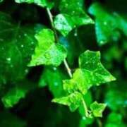 ヒメ日記 2025/10/01 06:16 投稿 れいか 吉祥寺角海老