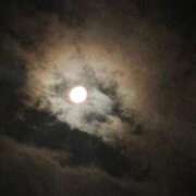 ヒメ日記 2025/10/06 00:06 投稿 れいか 吉祥寺角海老