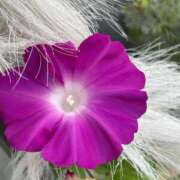 ヒメ日記 2025/10/06 11:36 投稿 れいか 吉祥寺角海老