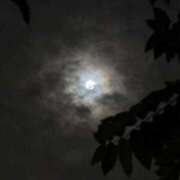 ヒメ日記 2025/10/08 23:26 投稿 れいか 吉祥寺角海老