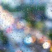 ヒメ日記 2025/10/23 00:48 投稿 れいか 吉祥寺角海老