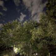 ヒメ日記 2025/10/23 23:26 投稿 れいか 吉祥寺角海老